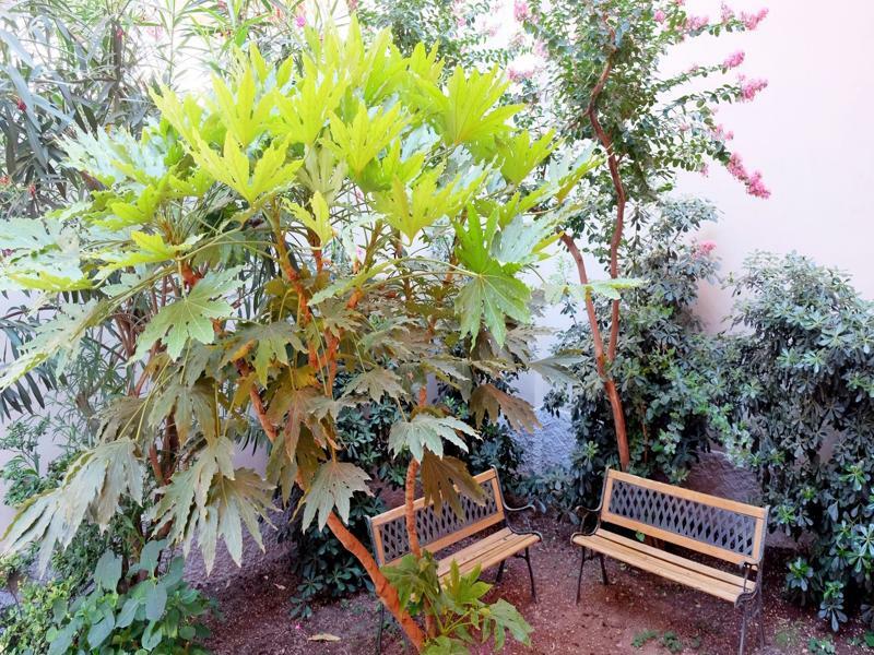 Bed and breakfast I 10 Mondi 2*